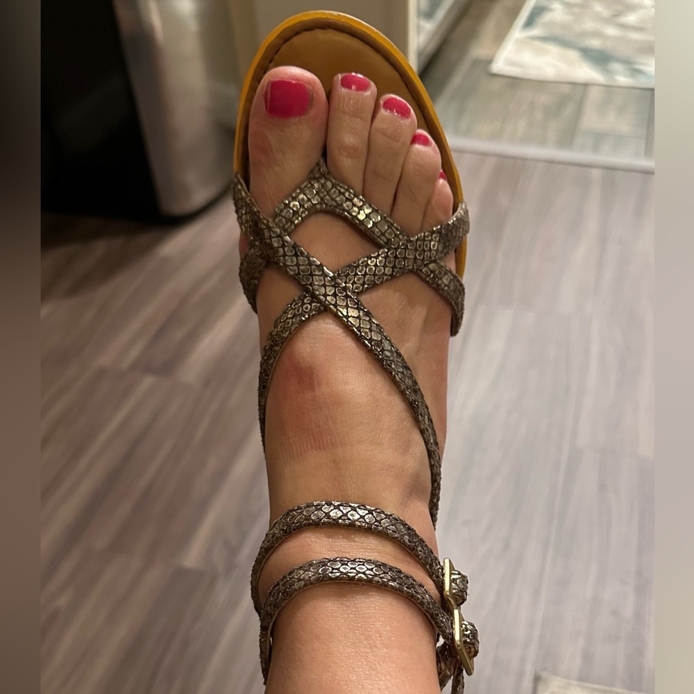 Born python gladiator metallic sandals size 7. Worn once.